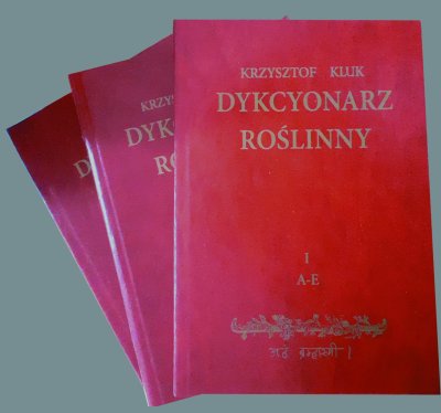 dykcjonarz